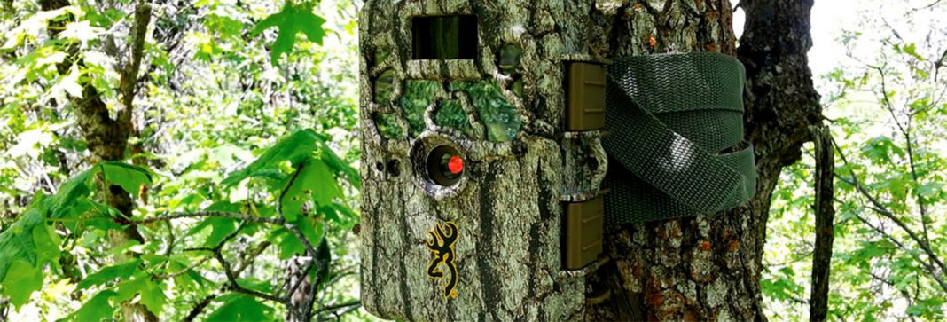 Guide d'achat : caméra de chasse