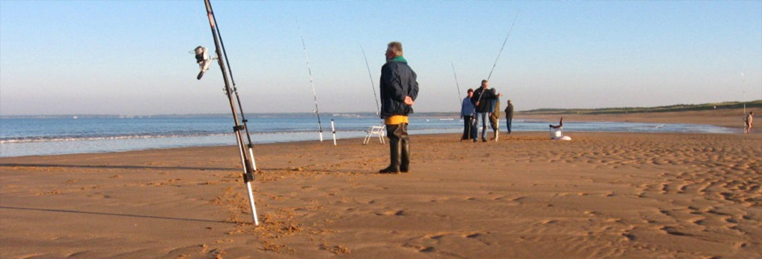 Guide d'achat : canne surfcasting