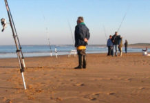 Guide d'achat : canne surfcasting